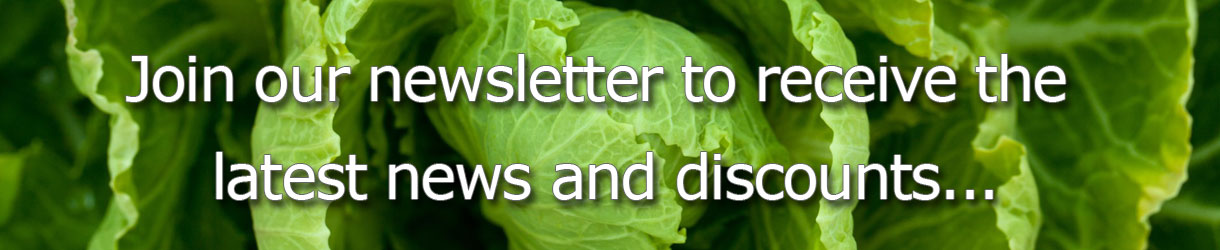 newsletter-ad-banner